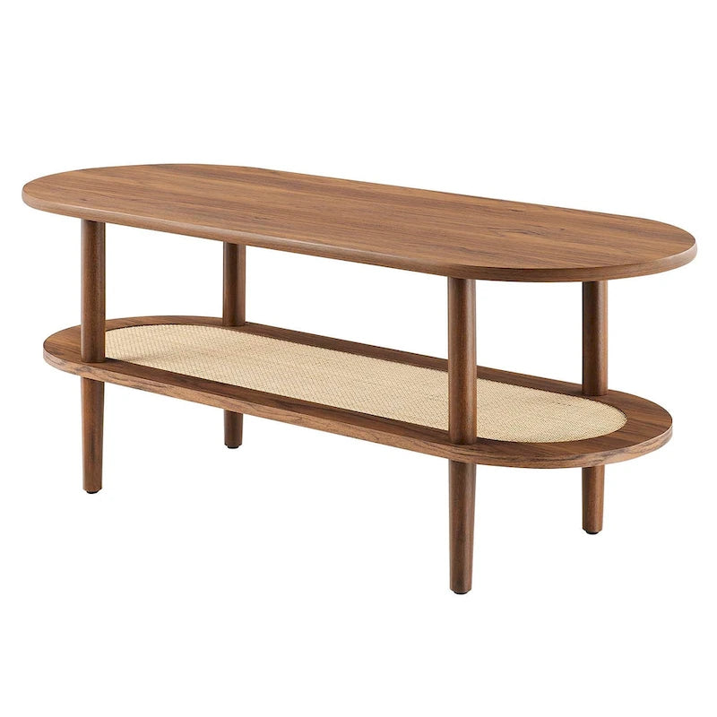 Table basse moderne en noyer avec étagère