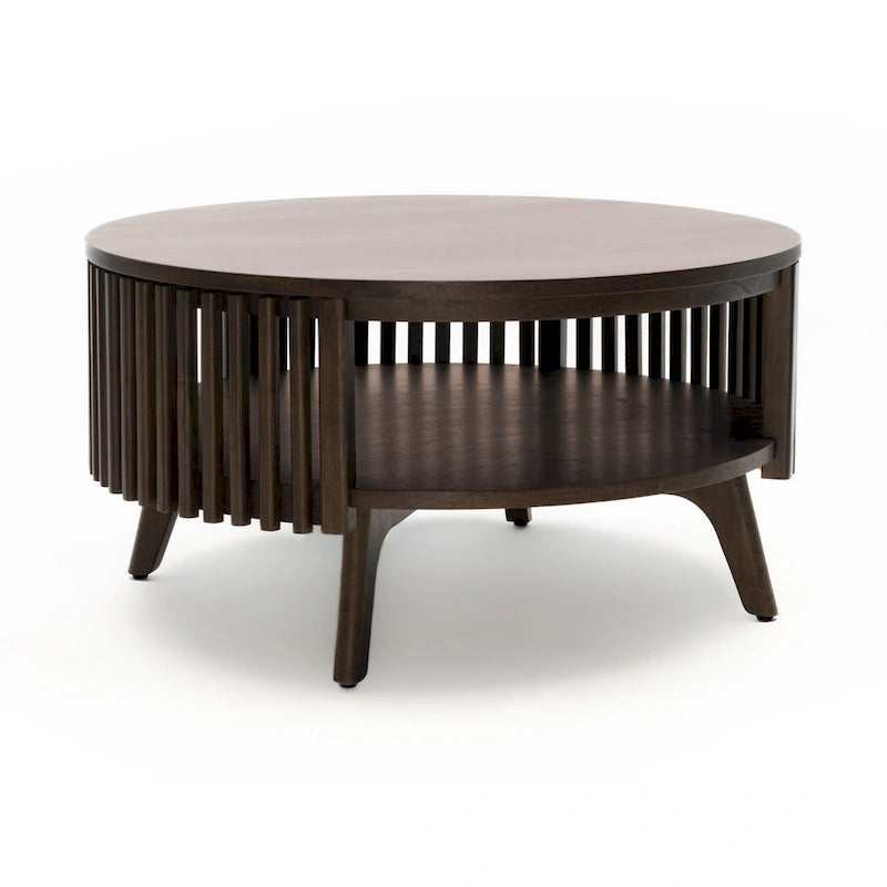 Mid Century Modern Coffee Table with Storage